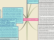 REDES COMUNICACIONES - Mapa Mental