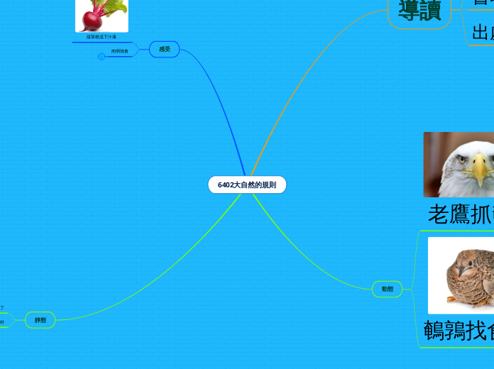 6402大自然的規則