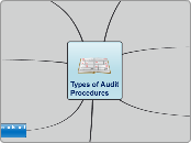 Types of Audit Procedures 