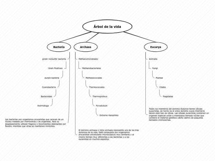Árbol de la vida - Mapa Mental