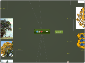 EESTI - Mind Map