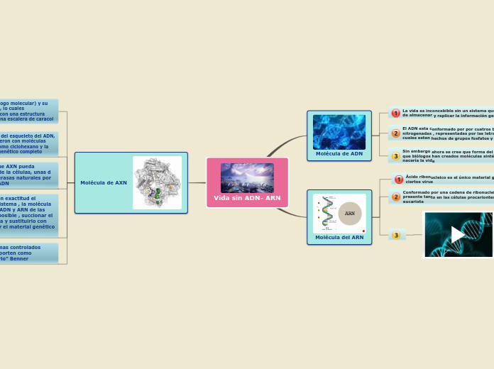 Vida sin ADN- ARN - Mapa Mental