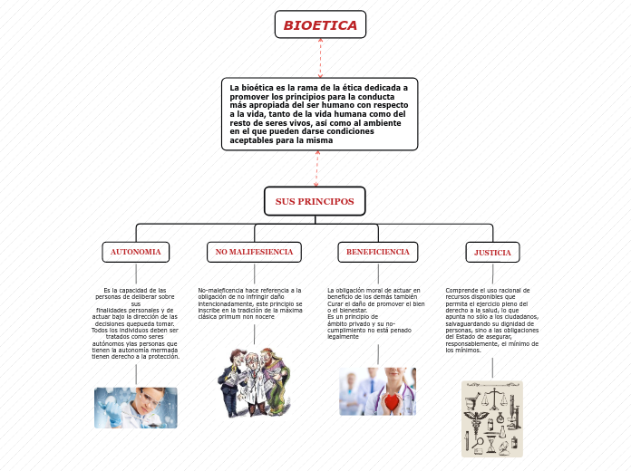 SUS PRINCIPOS - Mapa Mental