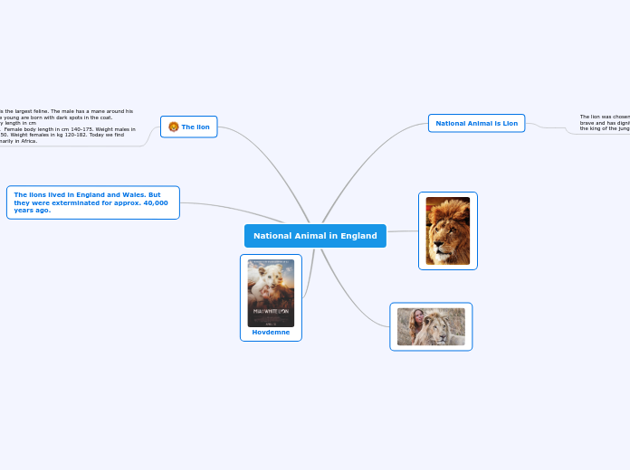 National Animal in England - Mind Map