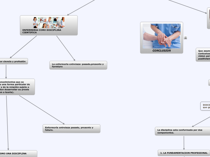 ENFERMERIA: COMO DISCIPLINA SOCIAL