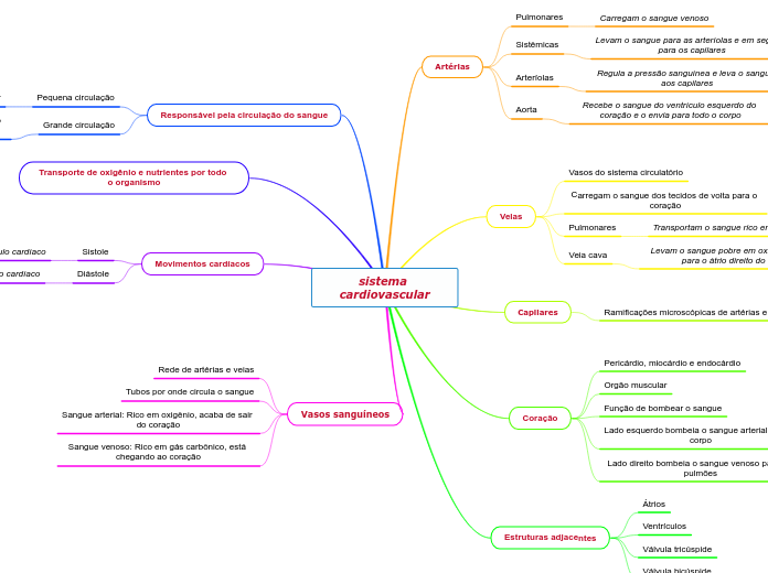sistema cardiovascular - Mapa Mental