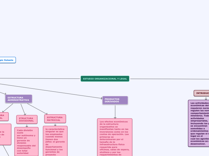 ESTUDIO ORGANIZACIONAL Y LEGAL - Mapa Mental