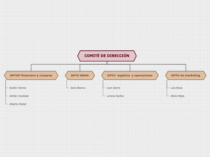 COMITÉ DE DIRECCIÓN - Mapa Mental