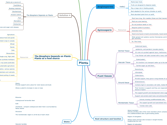 Plants - Mind Map
