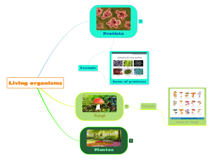 Living organisms - Mind Map