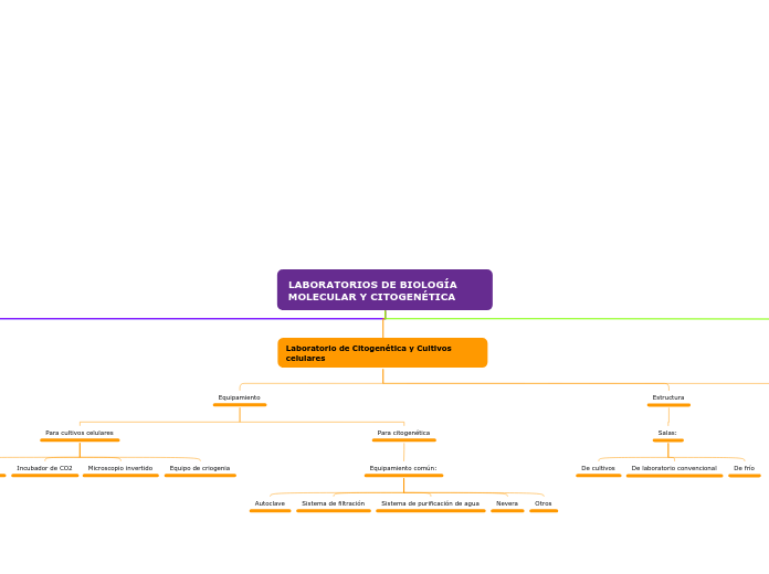 LABORATORIOS DE BIOLOGÍA MOLECULAR Y CI...- Mapa Mental