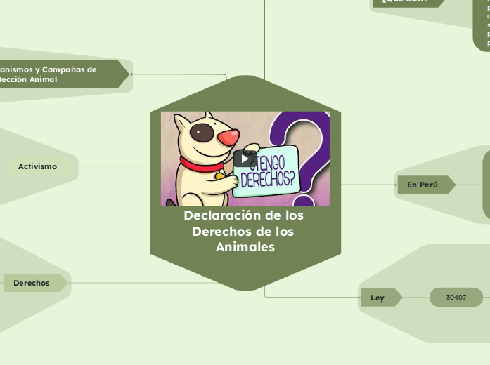 Declaración de los Derechos de los Animales