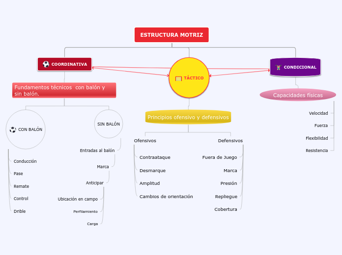 ESTRUCTURA MOTRIZ - Mapa Mental