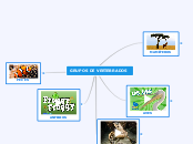 GRUPOS DE VERTEBRADOS - Mapa Mental