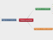 Célula eucariota - Mapa Mental