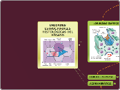 UNIDADES ESTRUCTURALES HISTOLÓGICAS DEL...- Mapa Mental