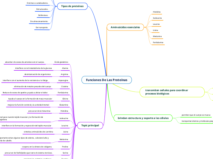 Funciones De Las Proteínas - Mapa Mental