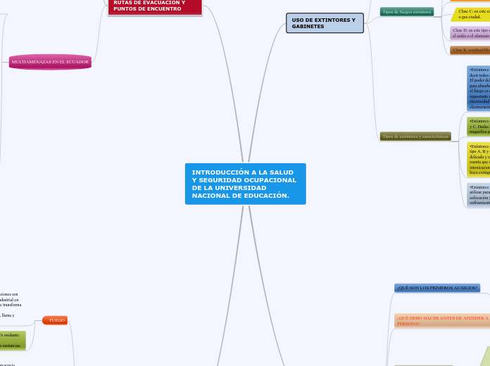 INTRODUCCIÓN A LA SALUD Y SEGURIDAD OCU...- Mapa Mental