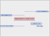 NEMATODOS Y  MOLUSCOS - Mapa Mental