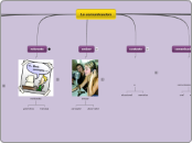 La comunicacion - Mapa Mental