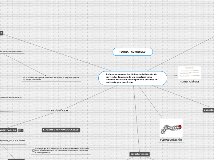 TEORIA - CURRICULO  - Mapa Mental