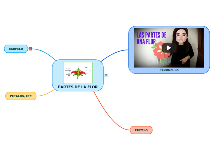 PARTES DE LA FLOR - Mapa Mental