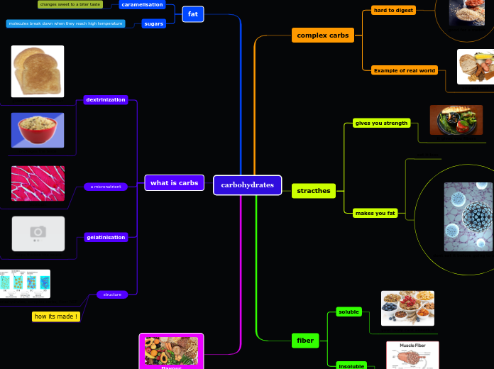 carbohydrates - Mind Map