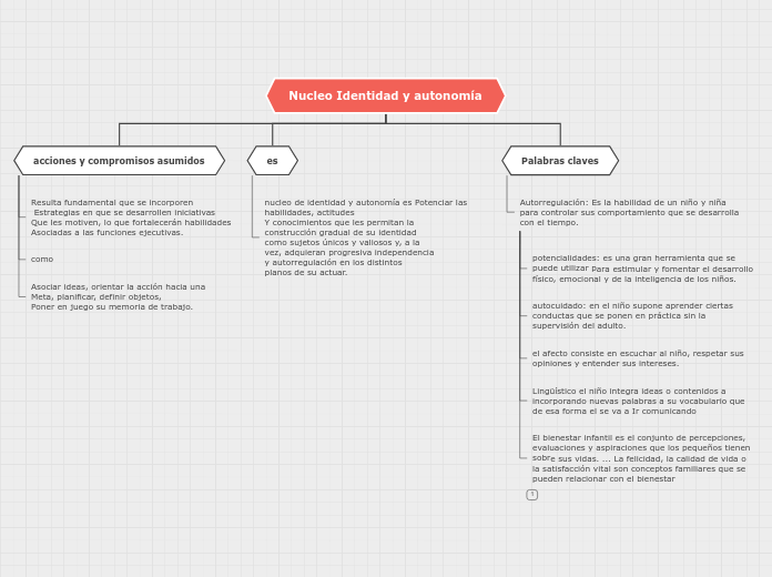Nucleo Identidad y autonomía - Mapa Mental