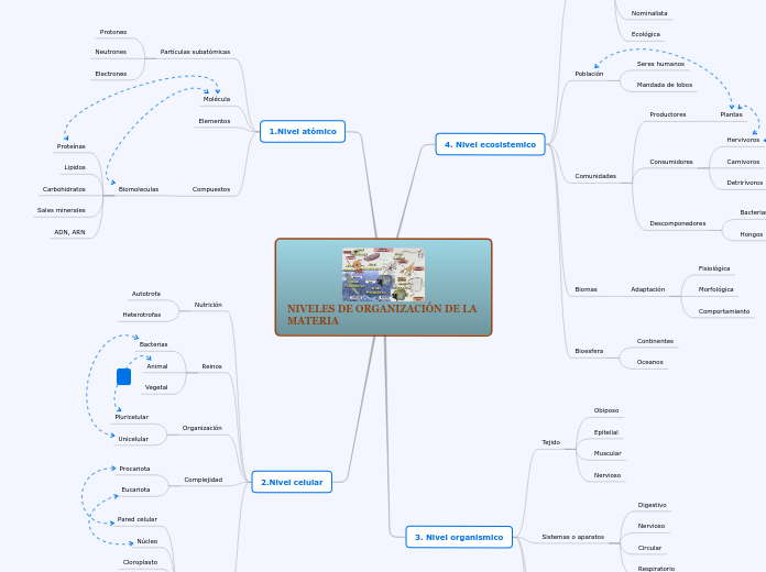 NIVELES DE ORGANIZACIÓN DE LA MATERIA - Mapa Mental