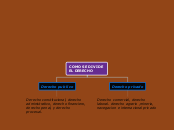 DERECHO - Mapa Mental