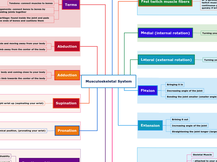 Musculoskeletal System - Mind Map
