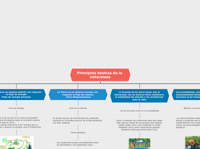 Principios basicos de la naturaleza - Mapa Mental