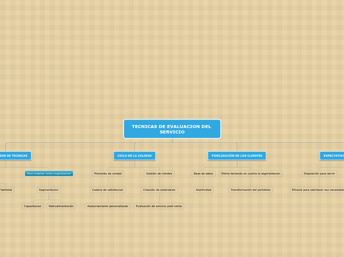 TECNICAS DE EVALUACION DEL SERVICIO - Mapa Mental