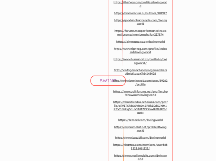 BWING - Mindmap