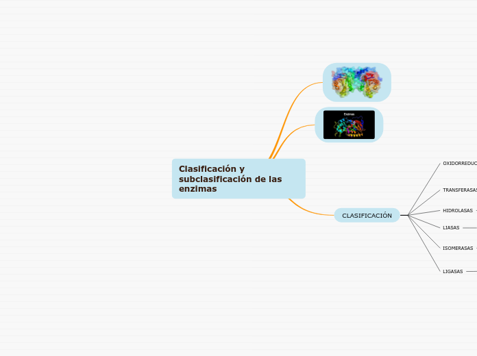 Clasificación y subclasificación de las...- Mapa Mental