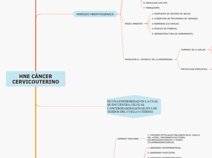 HNE CÁNCER CERVICOUTERINO