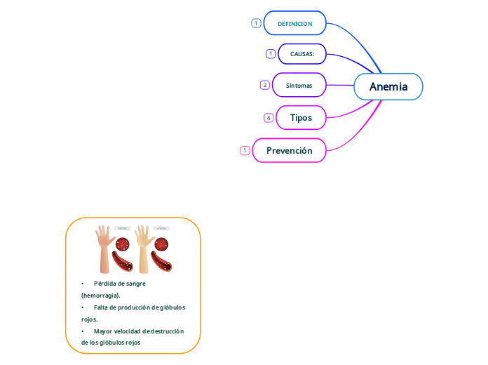 Anemia - Mapa Mental