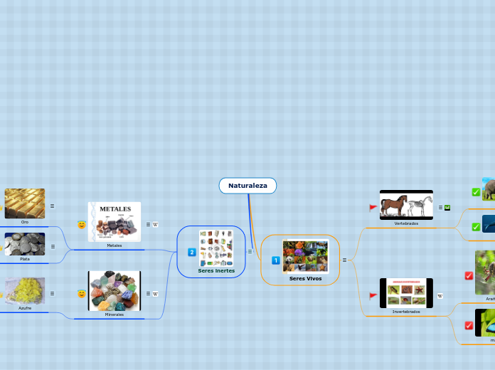 Naturaleza - Mapa Mental