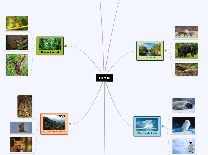 Biomes - Mapa Mental
