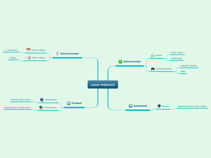 Lazar Vojinović - Mind Map