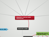 LÍQUIDOS Y SECRECIONES CORPORALES - Mapa Mental
