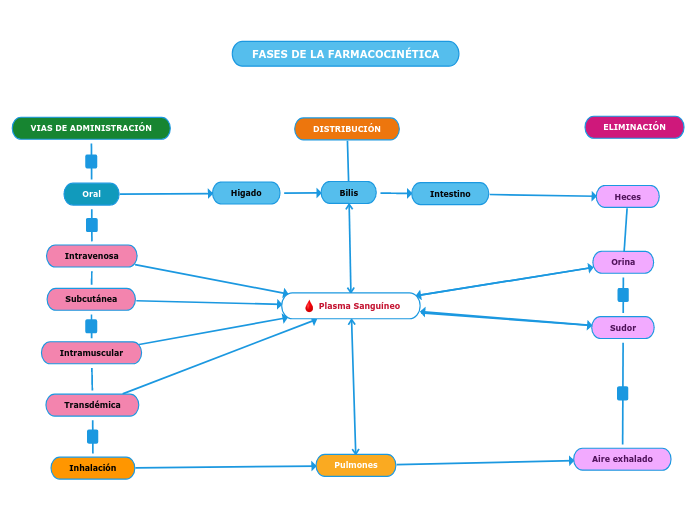 VIAS DE ADMINISTRACIÓN - Mapa Mental