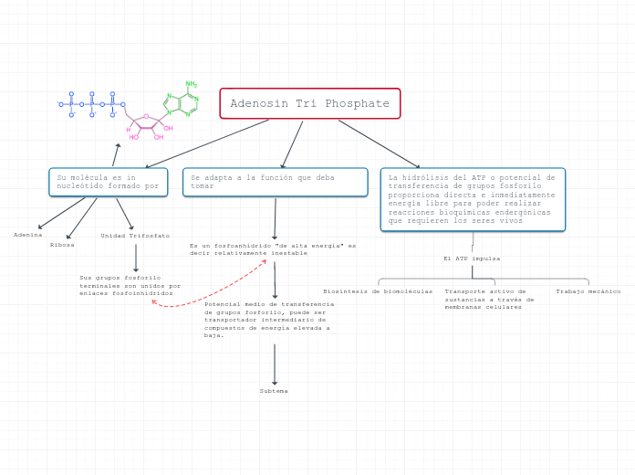 Adenosin Tri Phosphate - Mapa Mental
