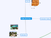 Malta Mind Map - Mind Map