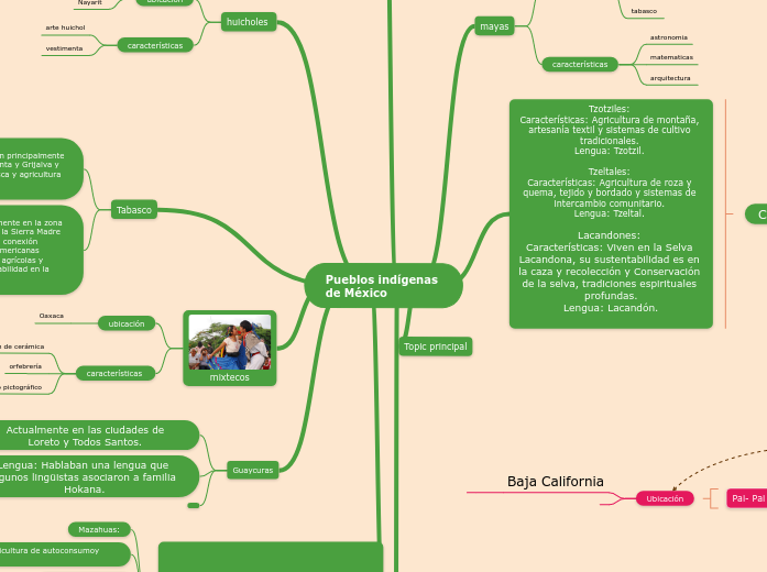 Pueblos indígenas 
de México