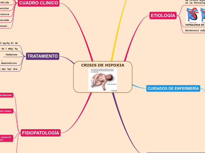 CRISIS DE HIPOXIA - Mapa Mental