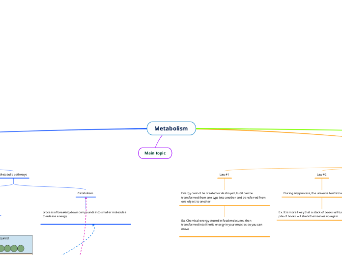 Metabolism - Mind Map