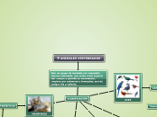 MAPA SEMÁNTICO - Mapa Mental