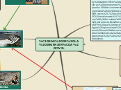 Sample Mind Map - Mapa Mental