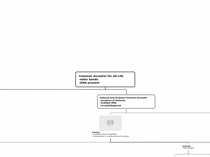 Common Ancestor for All Life        -ester...- Mind Map